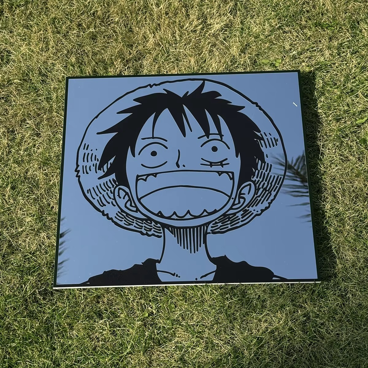 Luffy Smile Mirrors