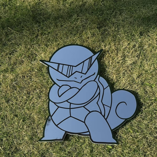 Squirtle Mirrors