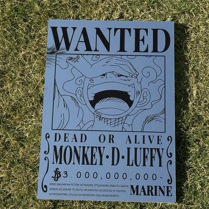 Wanted Luffy Mirrors